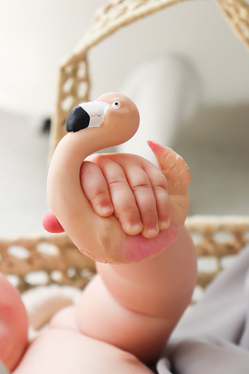 Sky the flamingo
