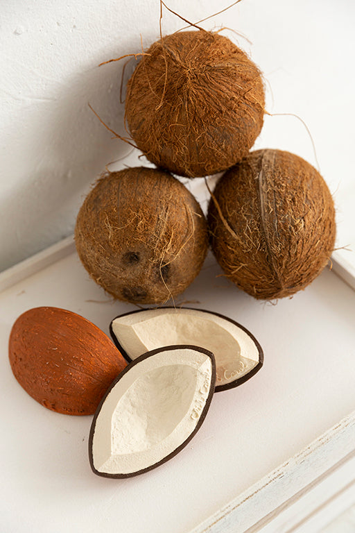 Coco the coconut