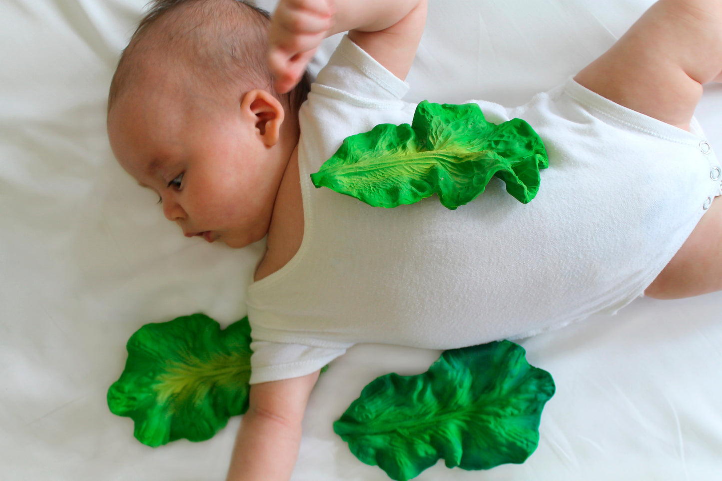 Kendall the kale