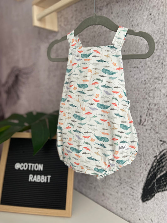 Ranita Ocean