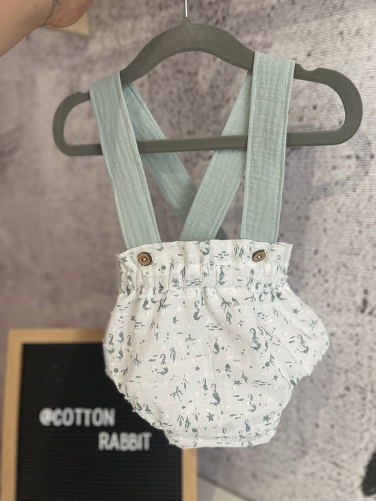 Ranita Aqua